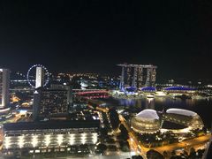 -新加坡瑞士史丹福酒店