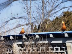 -森林公园(尖草坪区)