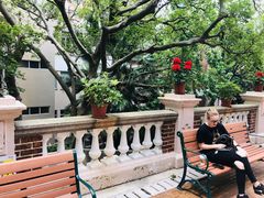 -香港大学