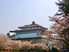 -武汉大学-樱园