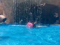 -太阳岛沙滩泳场水上乐园