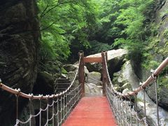 -牛背梁国家森林公园