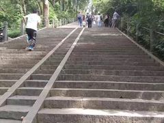 -上海佘山国家森林公园西佘山园