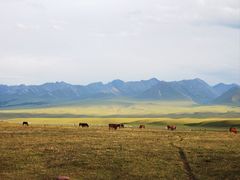-新疆那拉提国家旅游度假区