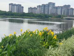 -眉山湿地公园(东坡区)