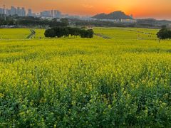 -光明小镇欢乐田园
