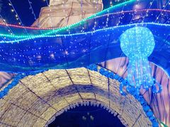 -重庆海昌加勒比海水世界