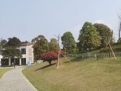 -铁山坪森林公园