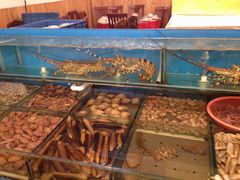 小铜锣湾海鲜家常菜-小铜锣湾海鲜家常菜馆(河西店)