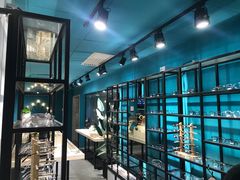 -Trend1881视光·蔡司视觉(领展广场店)