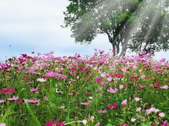 -南北湖风景区
