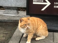 -岳麓山风景名胜区