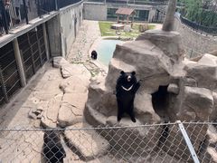 -石家庄市动物园