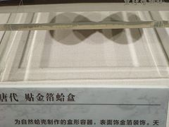 -温州博物馆