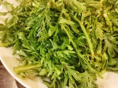 生拌茼蒿-情妹耙泥鳅·江湖川菜(科华店)