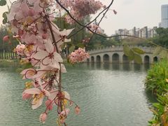 -四海公园(南山区)