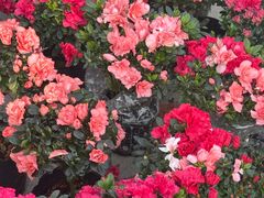 -甘肃国际会展中心