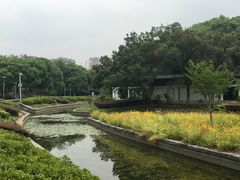 -蠡湖大桥公园