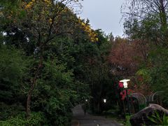 -深圳国际园林花卉博览园