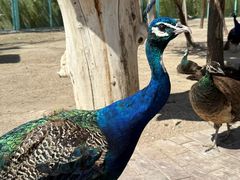 -水上乐园·欢乐世界