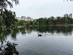 -武汉动物园