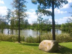 -上海长兴岛郊野公园