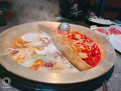 番茄拼菌菇鸳鸯锅-锅说大脸毛肚重庆老火锅(佐阾店)