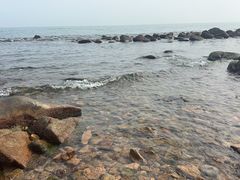 -广东惠东海龟国家级自然保护区