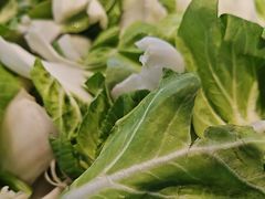-钱记·乡野菜(紫荆花路店)
