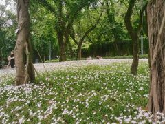 -广州市白云山风景名胜区