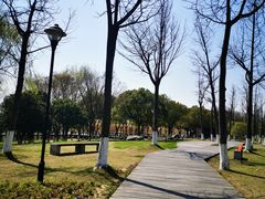-太湖湖滨国家湿地公园-停车场