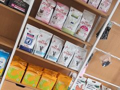 -艾贝尔宠物医院·24H转诊中心·肿瘤猫专科(江宁双龙店)