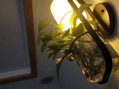 -孙三拨按摩(大纺店)
