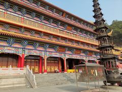 -东莞市大岭山森林公园