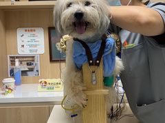 -谐和益家动物医院·免疫绝育·血液透析·宠保定点医院(高新伊藤分院)