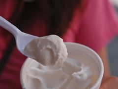 椰子雪糕-洪馨椰子
