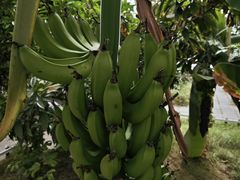 -恩格贝生态旅游区