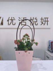 点击看大图 -优活悦妍美肤养生抗衰中心