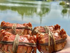 -水岸居湖景农家乐·阳澄湖大闸蟹