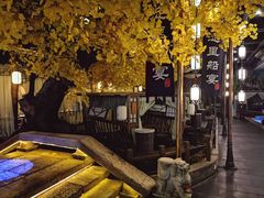 -淀里船宴(裕华东路店)
