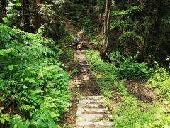 -素山寺森林公园