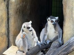 -灵玲国际马戏城