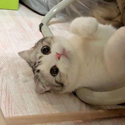 -厦门美莱整形美容医院