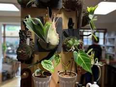 -本無咖啡·BeanWood Coffee