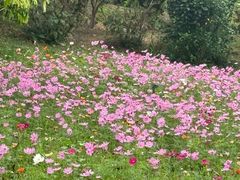 -云溪植物园