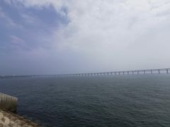 -星海湾跨海大桥