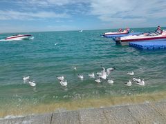 -青海湖国家重点风景名胜区