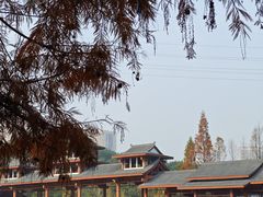 -重庆彩云湖湿地公园