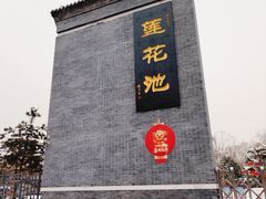 -莲花池公园