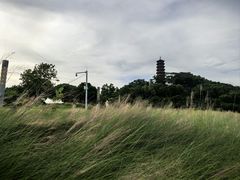-红花山公园